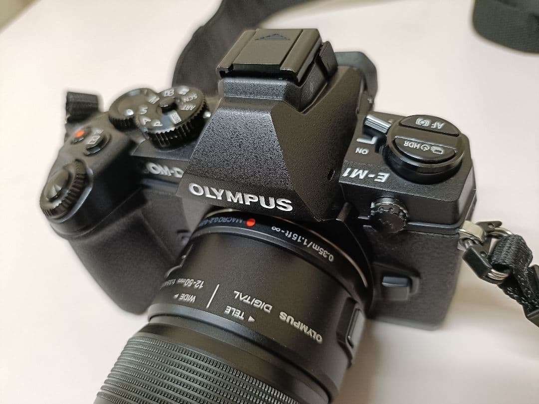 【美品2638回】OLYMPUS OM-D E-M1 ミラーレス一眼カメラセット