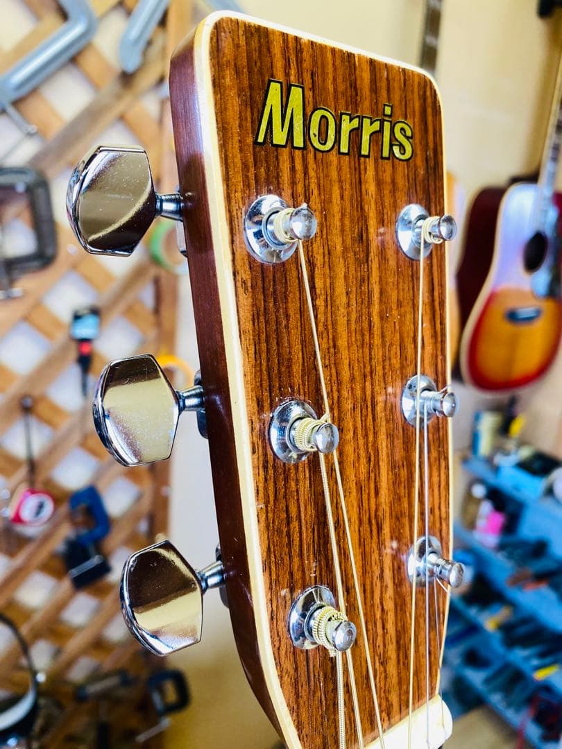 Morris F25 小ぶり、調整クリーニング済ジャパンビンテージ