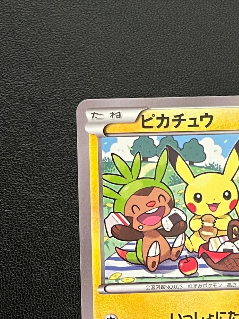 ピカチュウ いっしょにたべよ