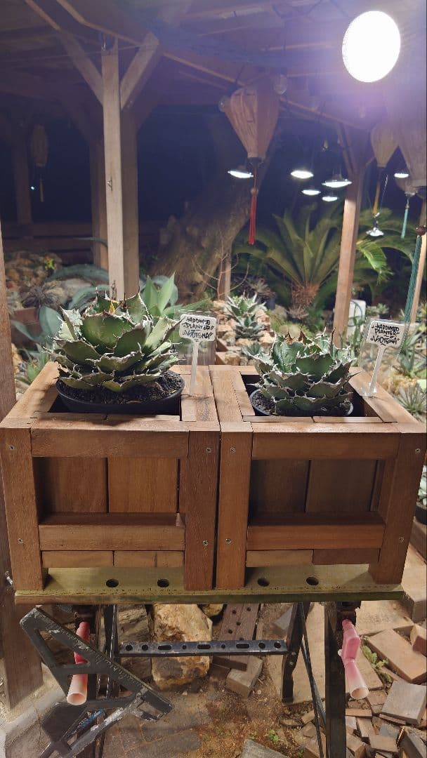 ハードウッド プランター ウッドプランター 本体のみ