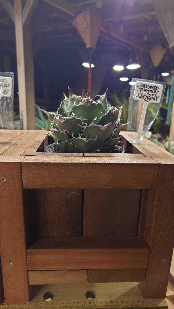 ハードウッド プランター ウッドプランター 本体のみ