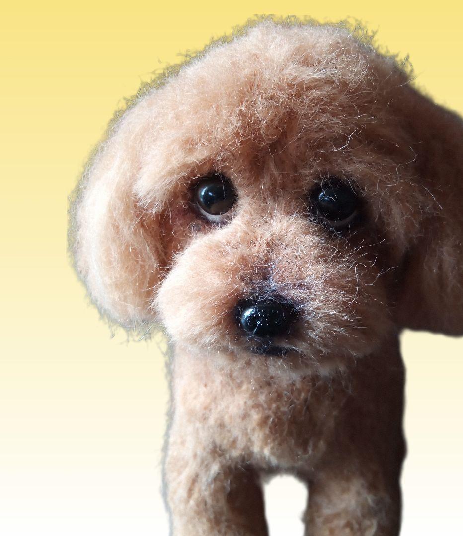 羊毛フェルト犬 SORA'S オーダー専門受付ページ