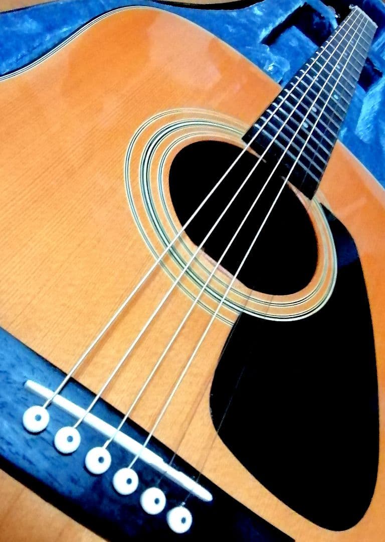 ★1990年代製造★MORRIS MD201N★安定した品質♪