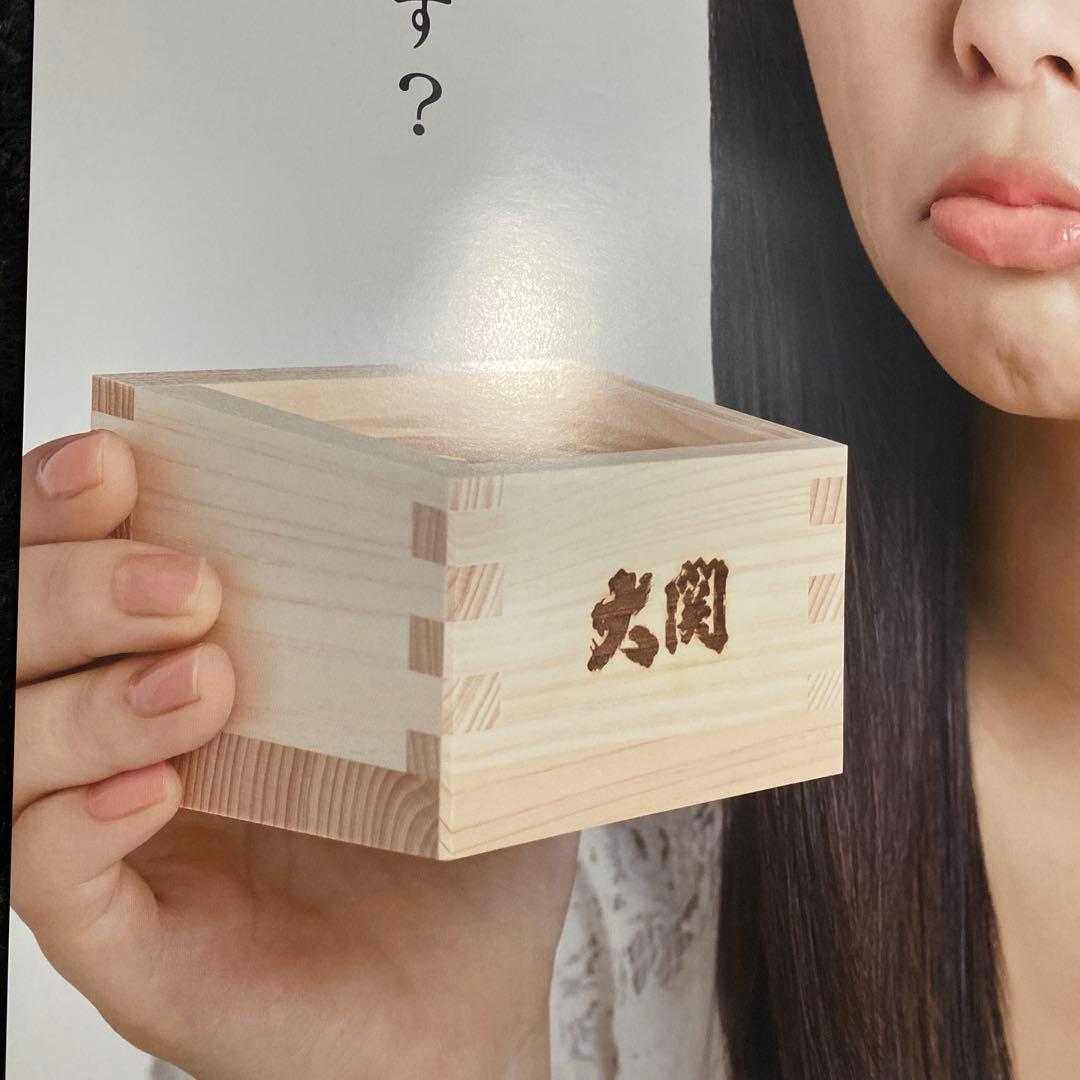 指原莉乃　大判ポスター　レア物