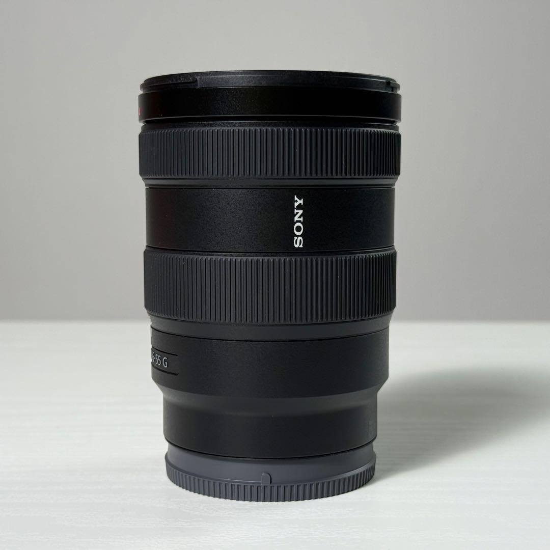 SONY E 16-55mm F2.8 G ズームレンズ SEL1655G