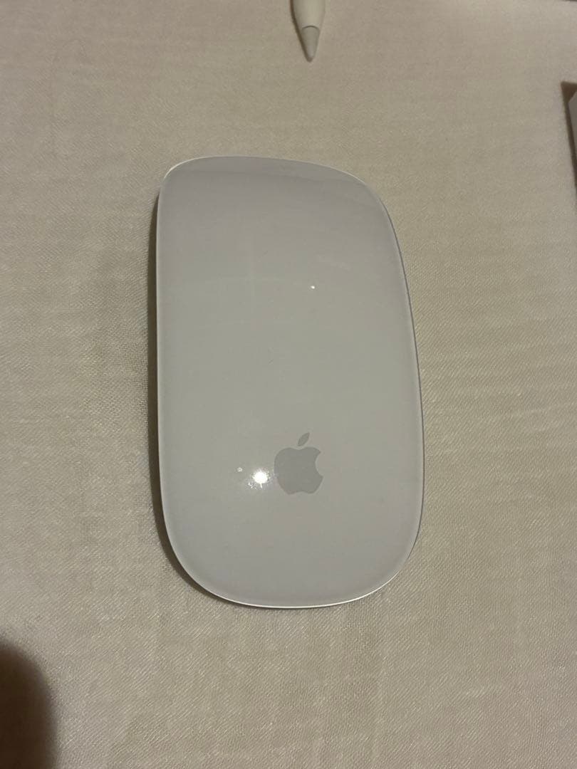 ApplePencil & MagicMouse セット