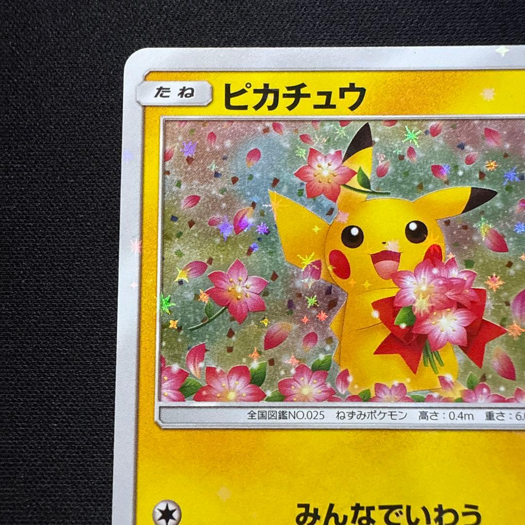【完美品】ピカチュウ 224/SM-Pポケモンセンター20周年記念キャンペーン