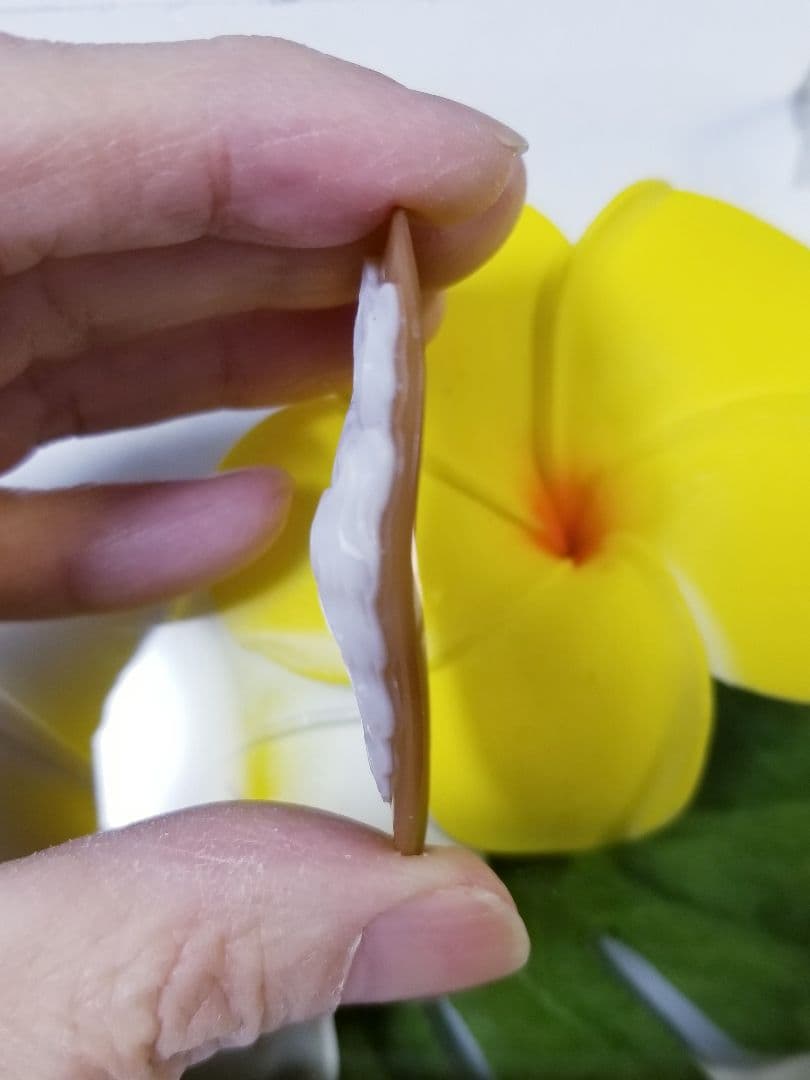 KS-210 【カルロ・パルラーティ作】天然シェルカメオルース