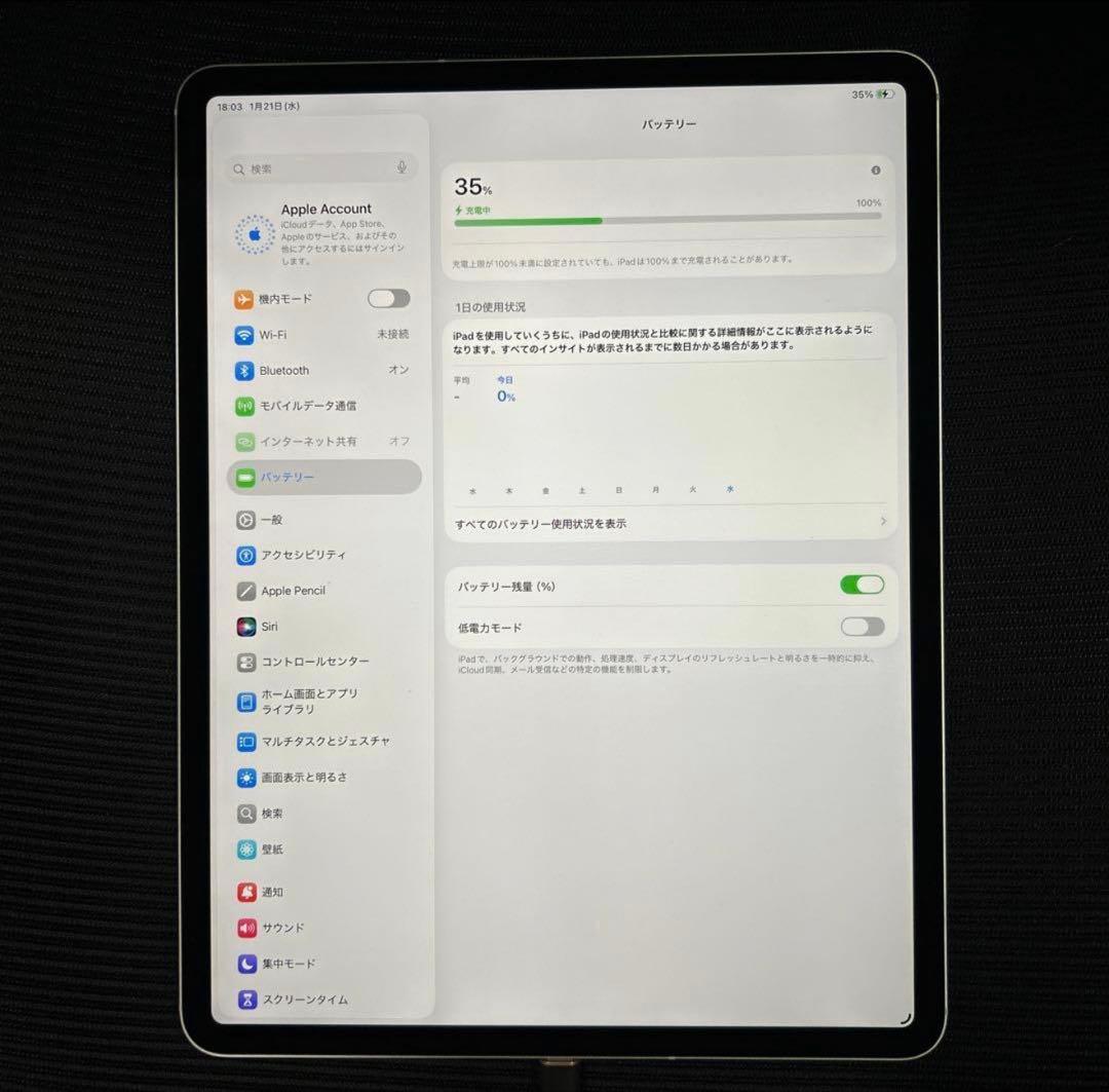 iPad Pro 12.9インチ (第４世代) Wi-Fi + Cell