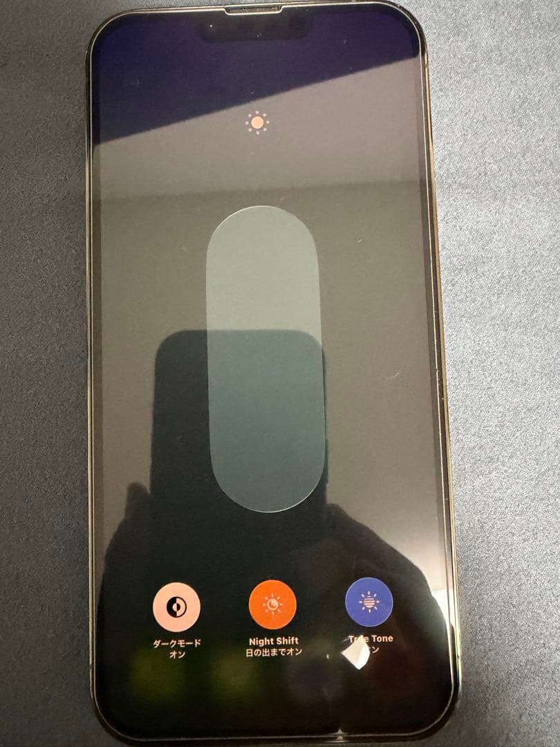 iPhone 13 Pro Max 1TB SIMフリー アルパイングリーン