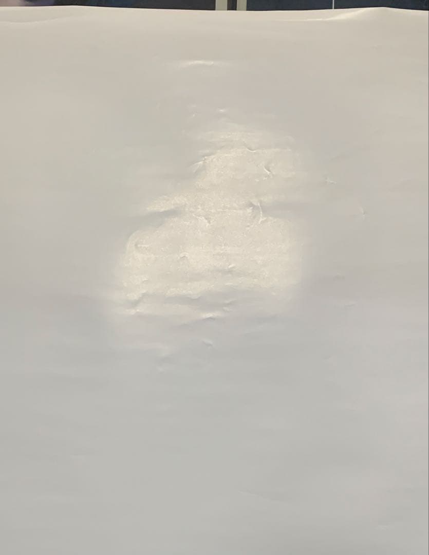 【B1・表面痛みあり】 エヴァンゲリオン 新劇場版 Q 告知 ポスター ピアノ