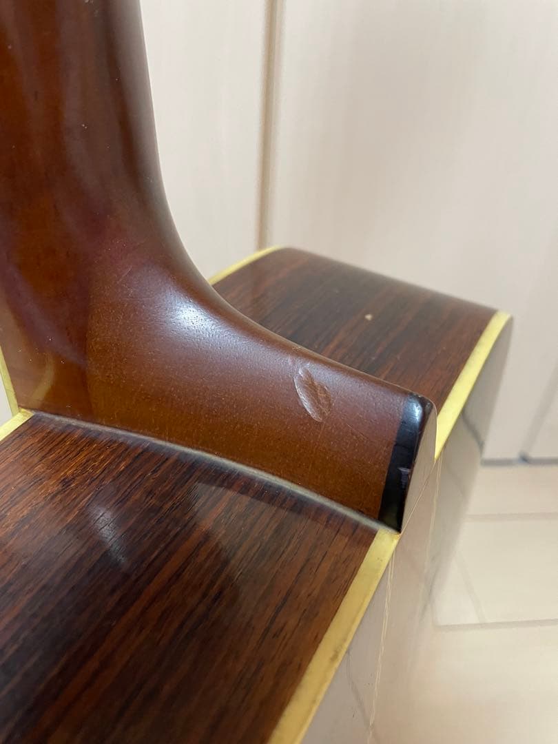 Aria アコースティックギター W-300