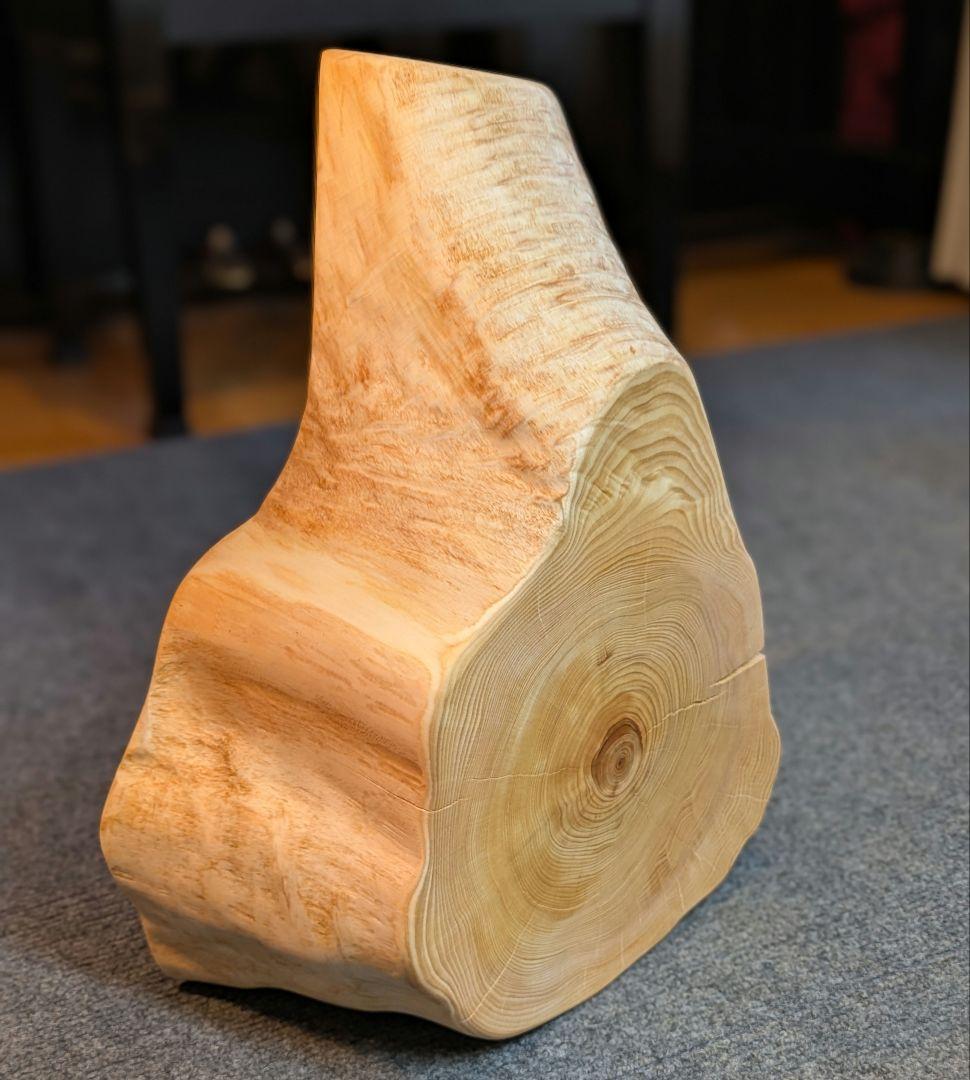 天然ヒバ　切り株　輪切り　高さ約14.5cm