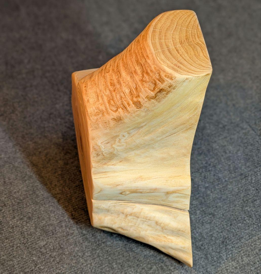 天然ヒバ　切り株　輪切り　高さ約14.5cm