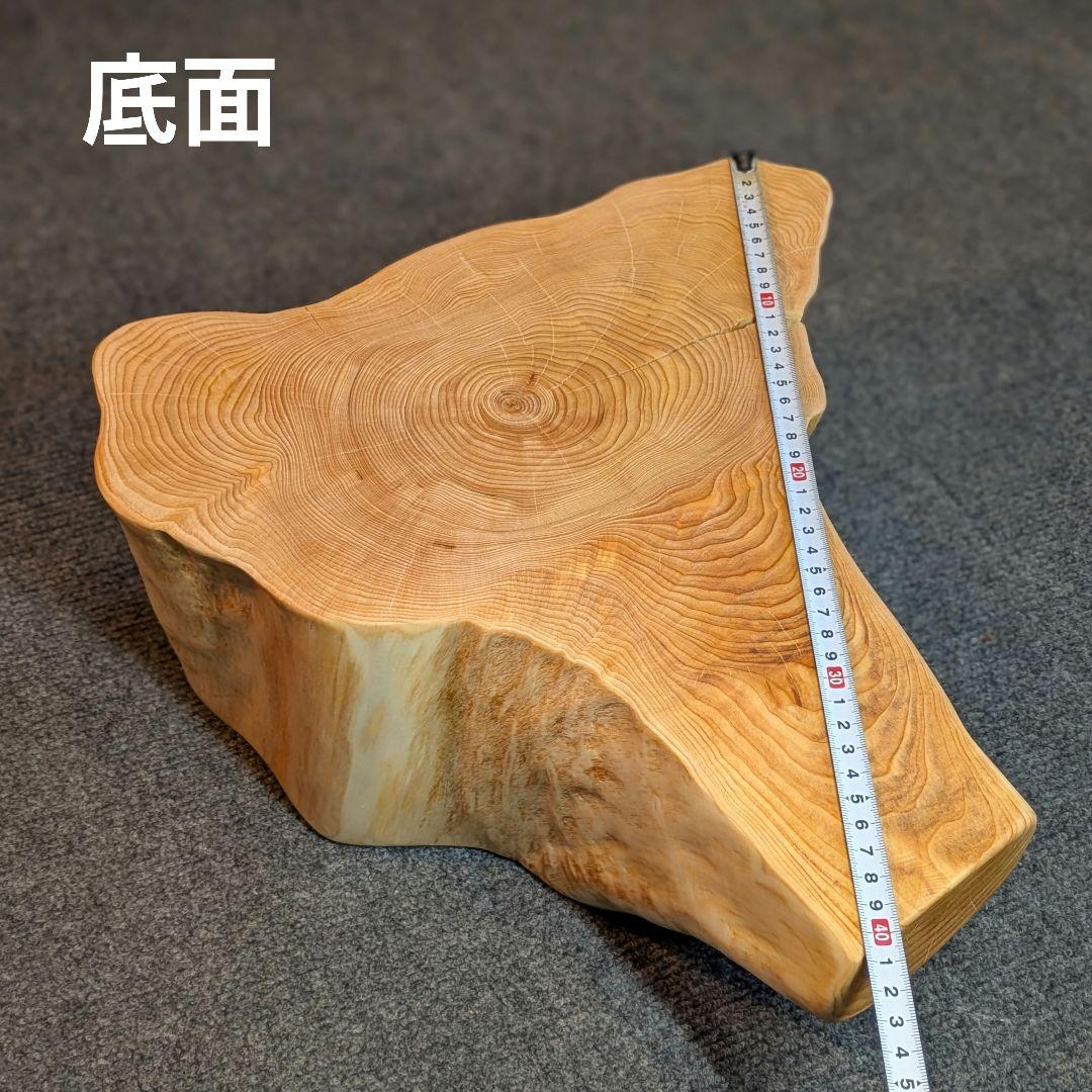 天然ヒバ　切り株　輪切り　高さ約14.5cm