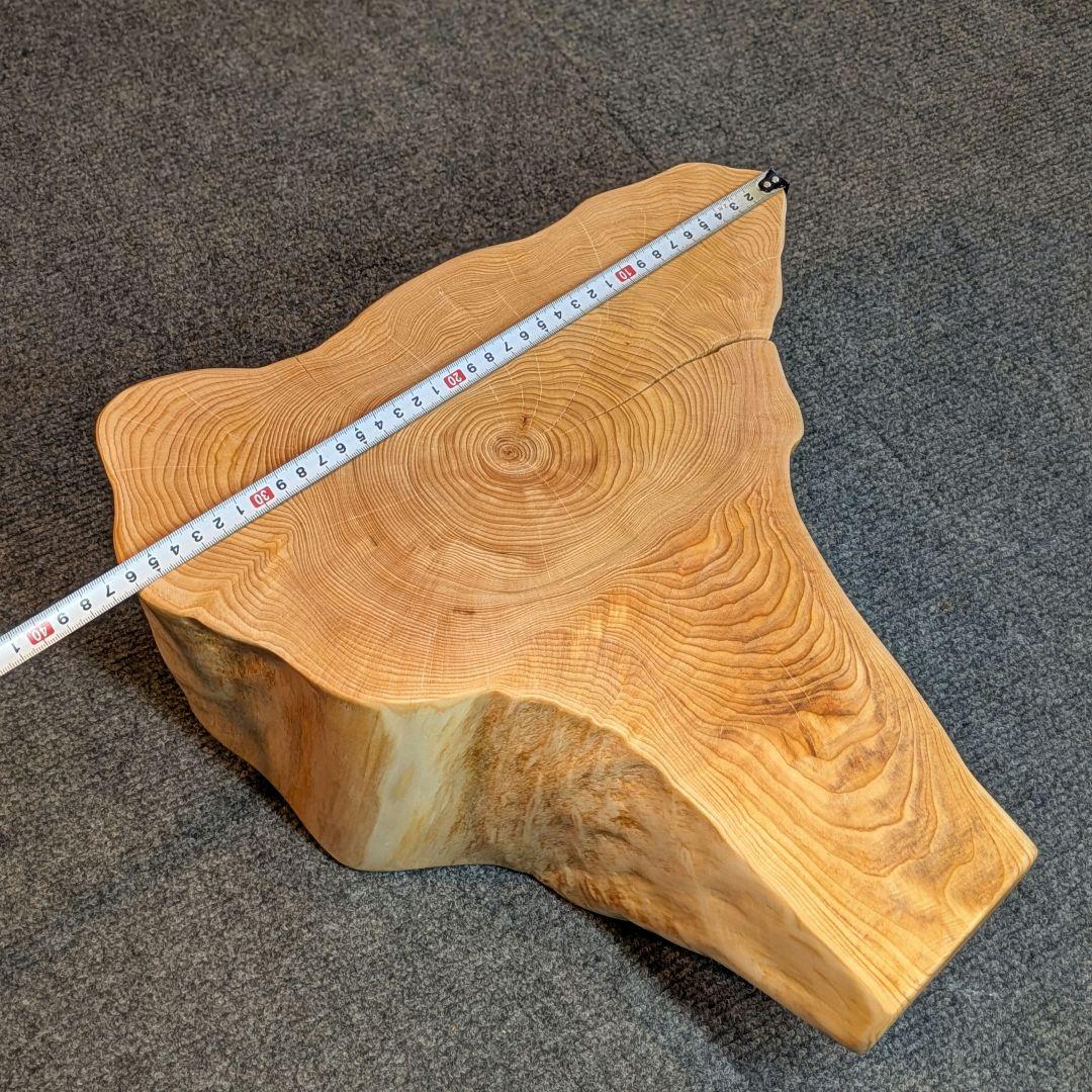 天然ヒバ　切り株　輪切り　高さ約14.5cm