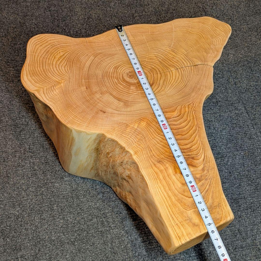 天然ヒバ　切り株　輪切り　高さ約14.5cm
