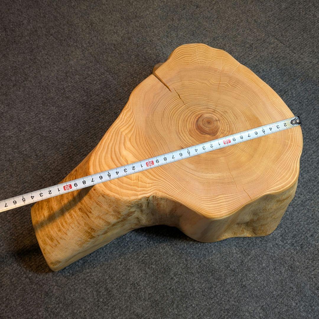 天然ヒバ　切り株　輪切り　高さ約14.5cm