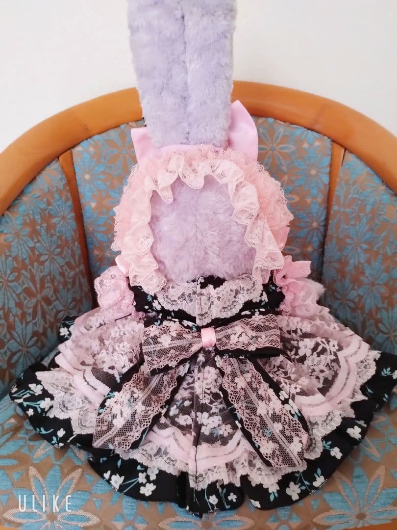 ゆーゆーページです。ステラルーコスチューム