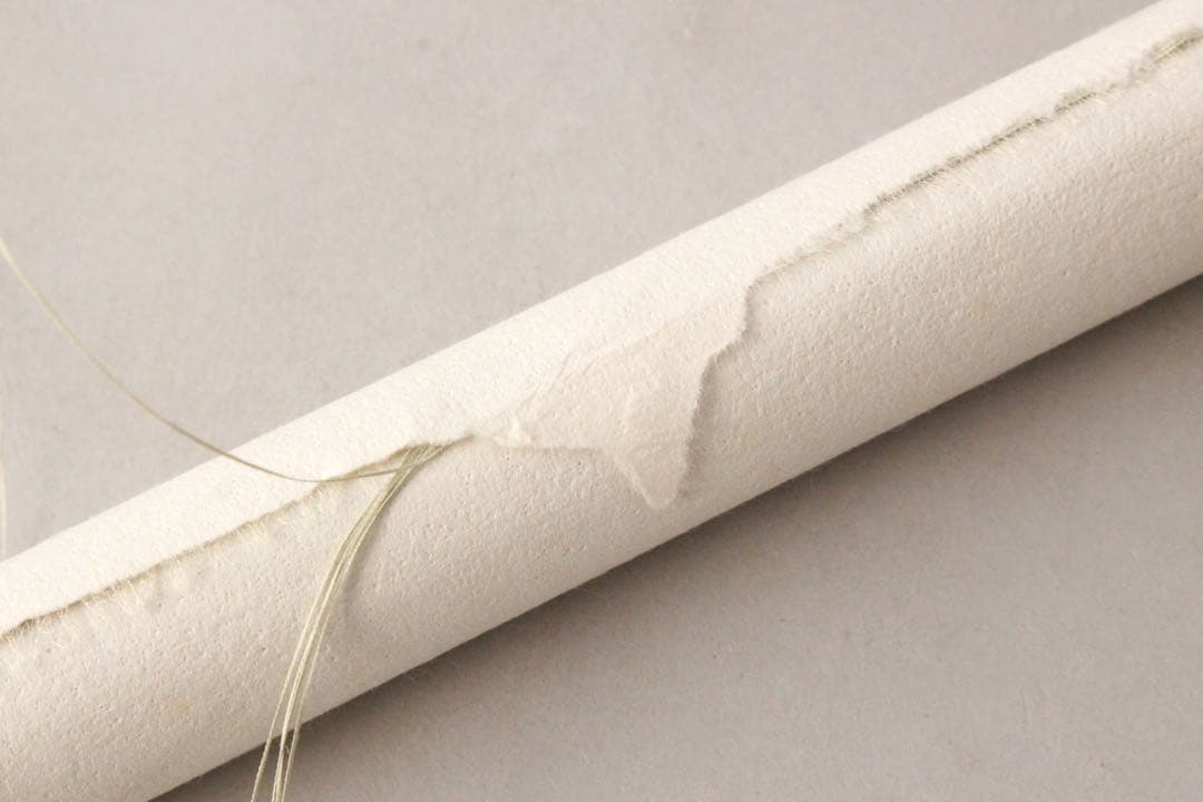 No4490 掛軸　在銘　福寿山人　花鳥画賛　着色紙本　中国画　墨彩　送料無料