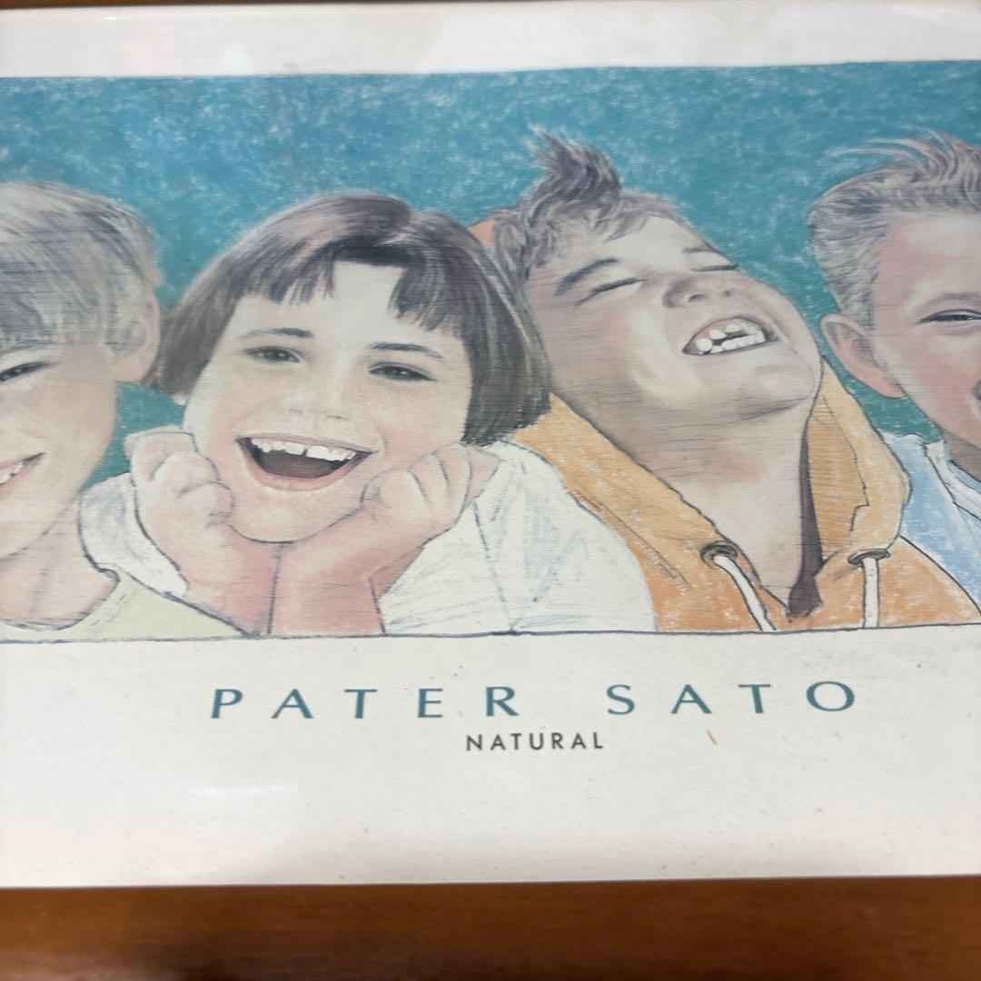 ミスドの袋の絵、ペーター佐藤Pater Sato「ナチュラル」