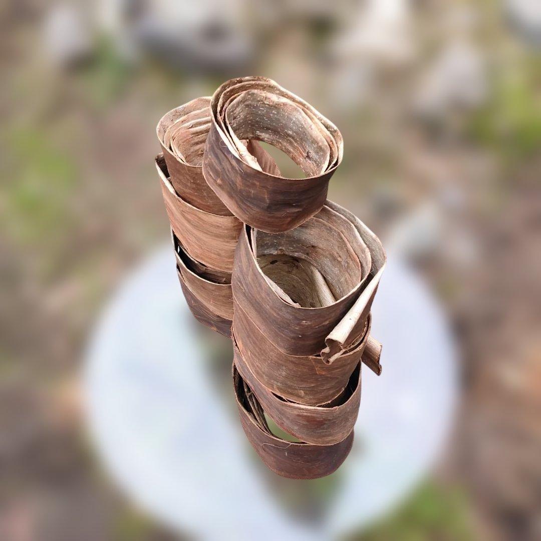 トミー 胡桃 くるみ クルミ 皮 樹皮 約2kg
