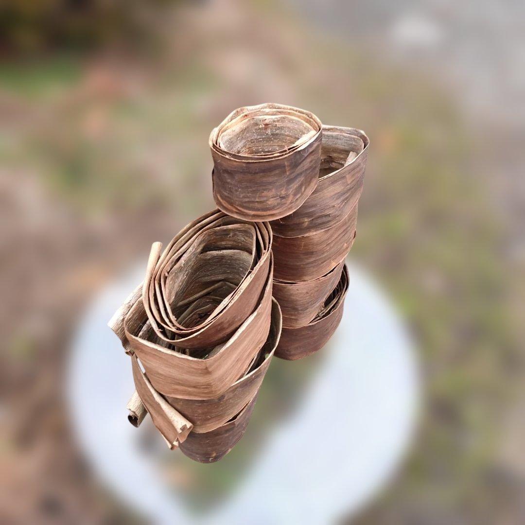 トミー 胡桃 くるみ クルミ 皮 樹皮 約2kg