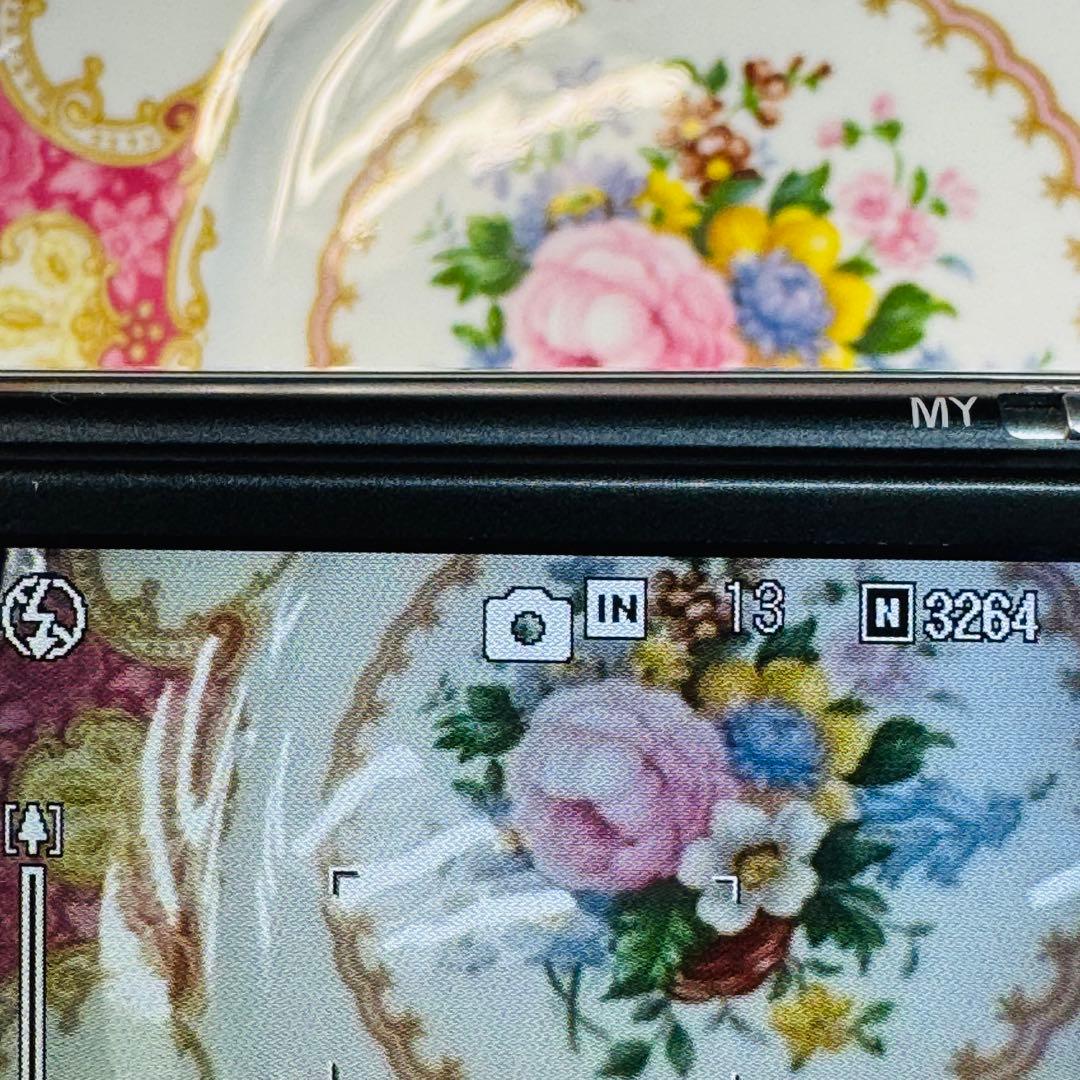 RICOH Caplio R7 シルバー 【充電器なし・動作確認済み】