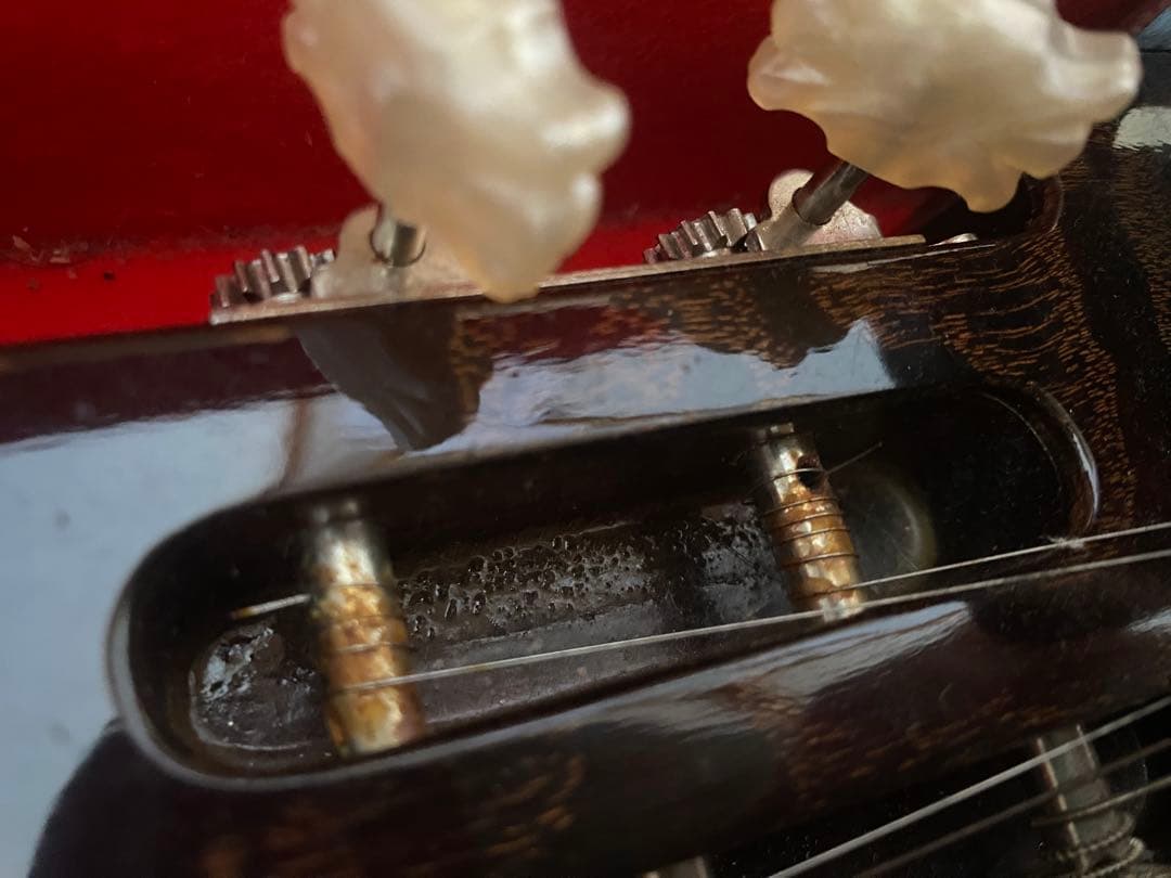 大正琴 琴伝流 夕月 ボリューム機能 ハードケースとアンプ付き