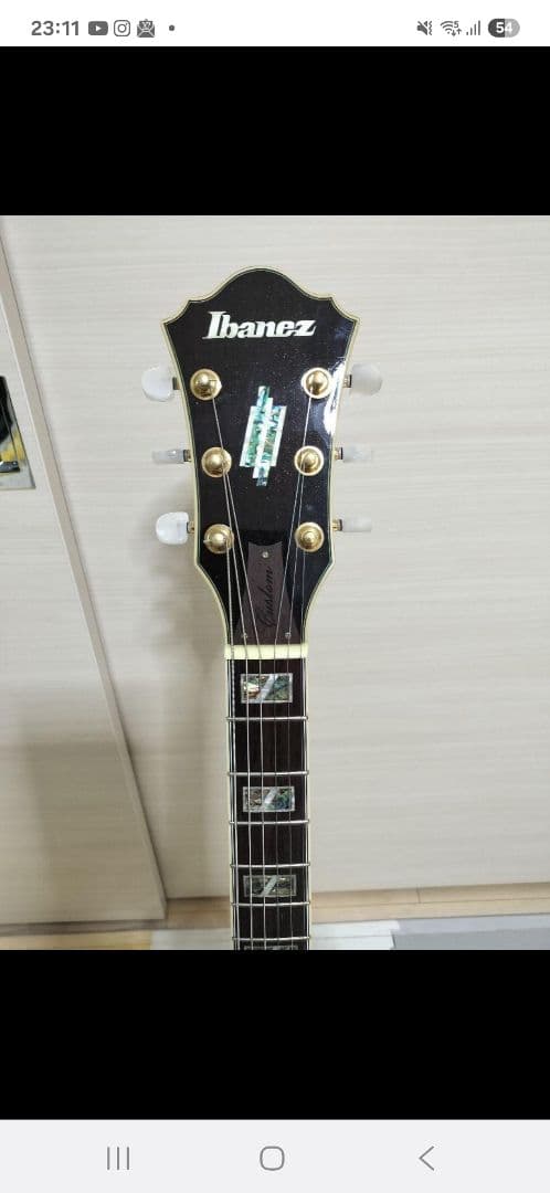 ナチュラル セミアコ アイバニーズ アイバニーズ