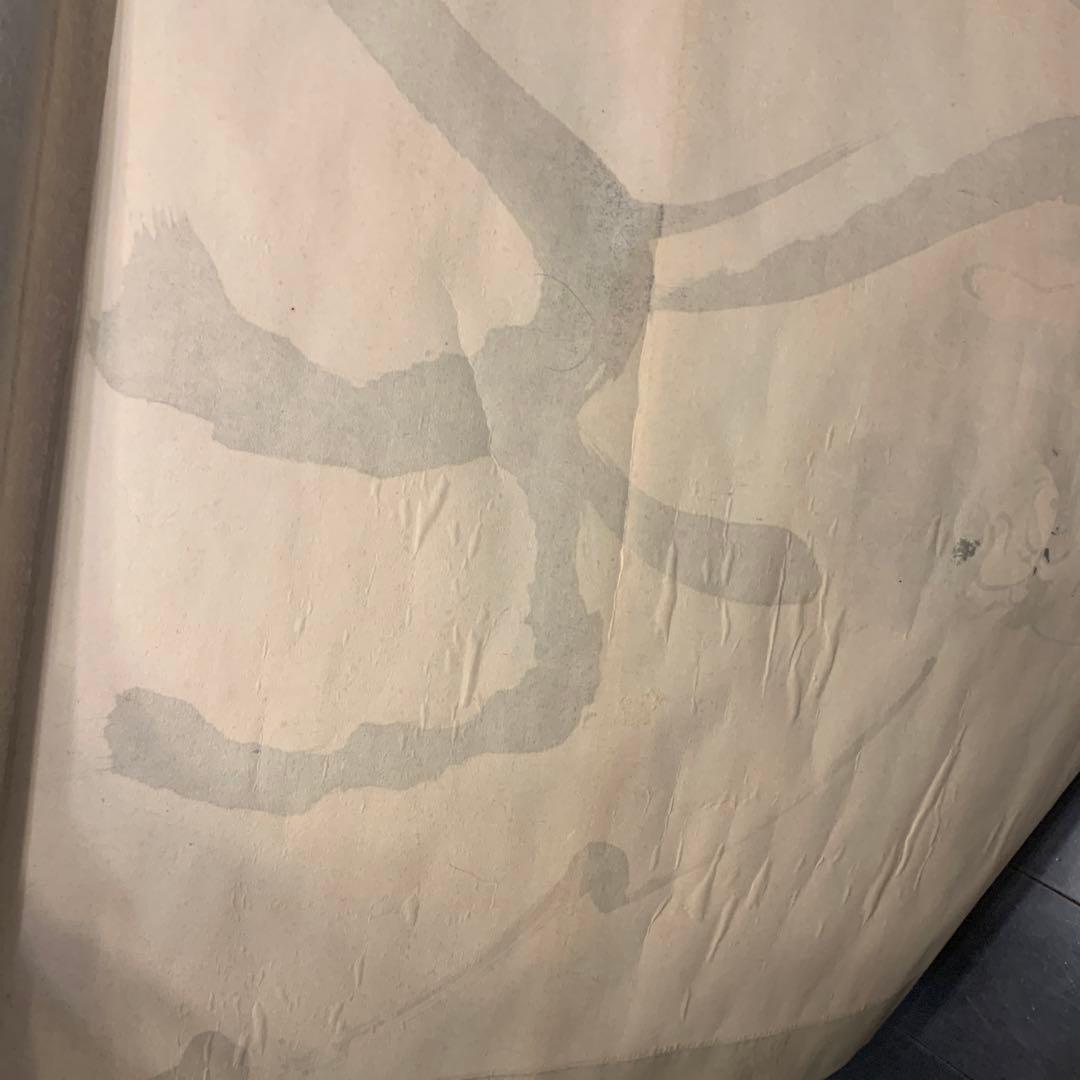 達磨　落款　肉筆　掛軸　本体のみ　大きめ