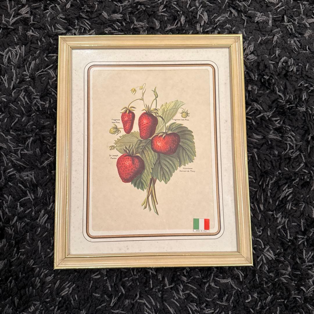 イタリア製アンティークボタニカル額絵