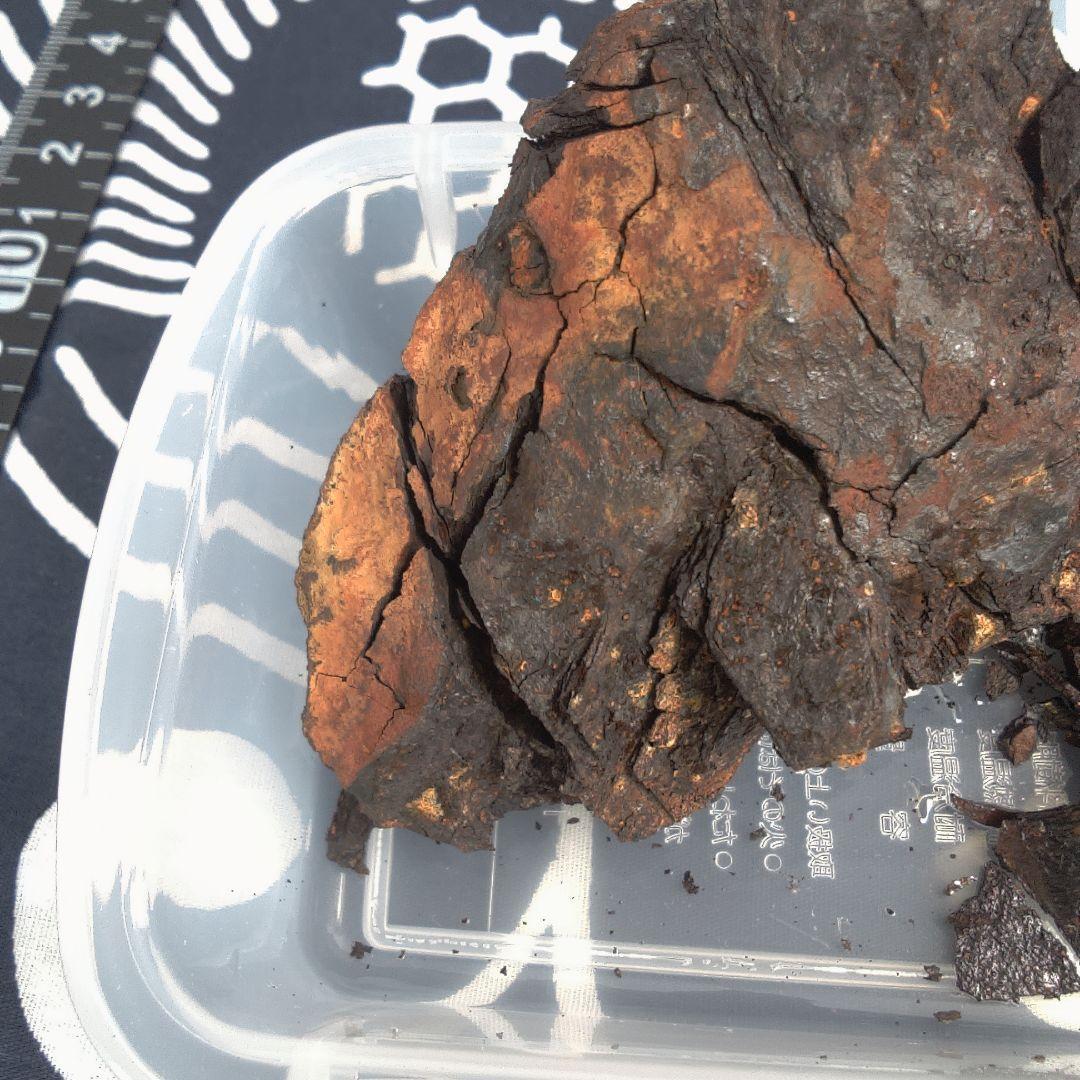 隕石 ？ Muonionalusta Meteorite もろいです。