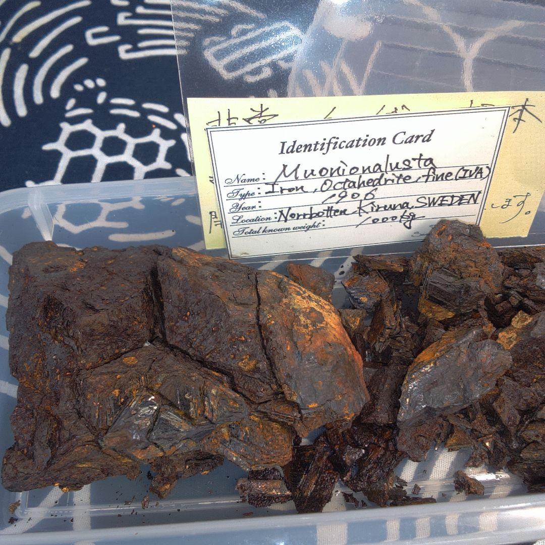 隕石 ？ Muonionalusta Meteorite もろいです。
