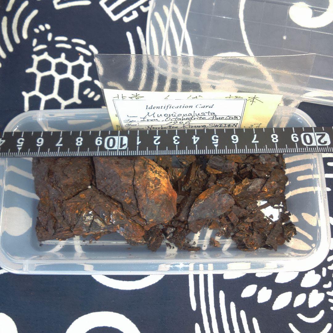 隕石 ？ Muonionalusta Meteorite もろいです。