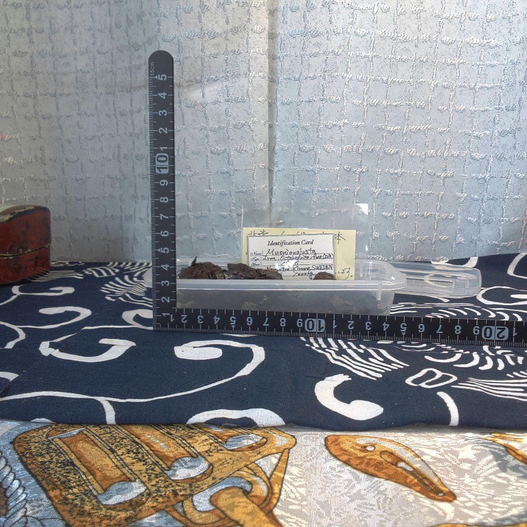 隕石 ？ Muonionalusta Meteorite もろいです。