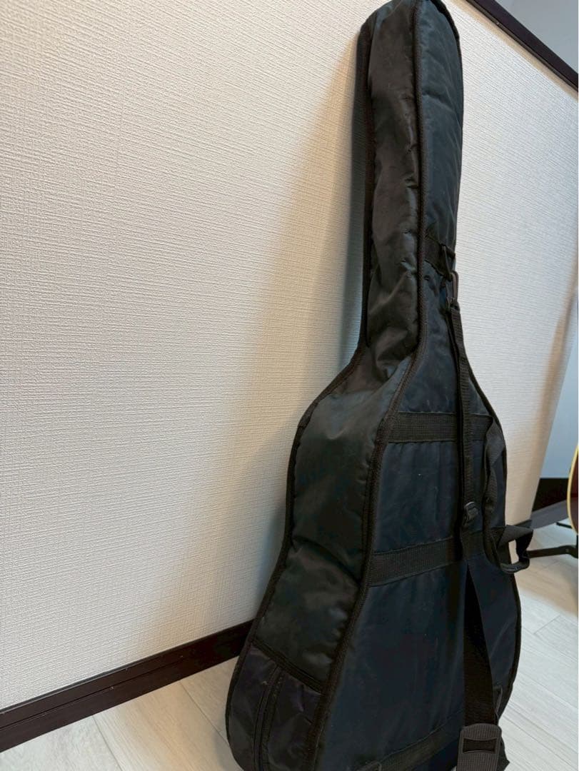 Pro Martin アコースティックギター ギターケース付き