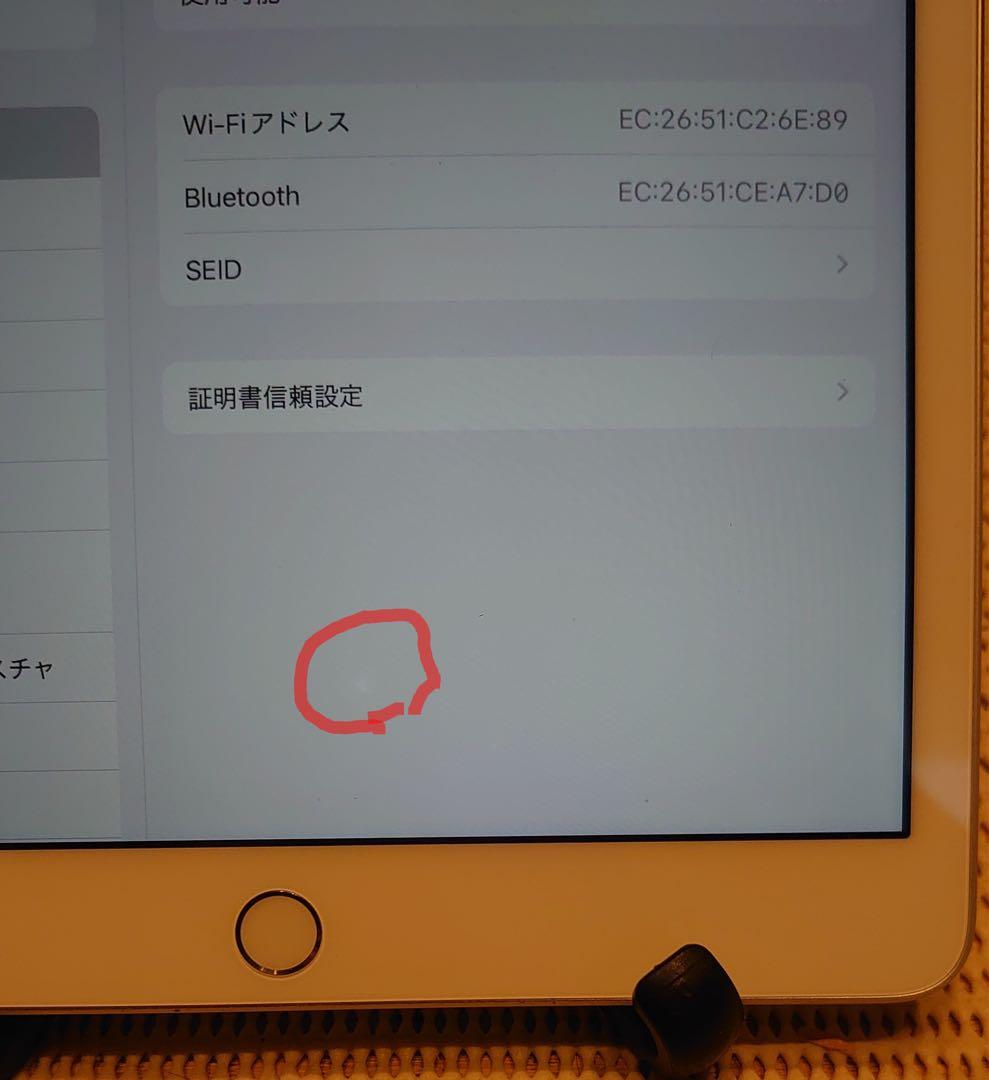 完動品iPad第7世代(A2197)本体32GBシルバー送料込DG116