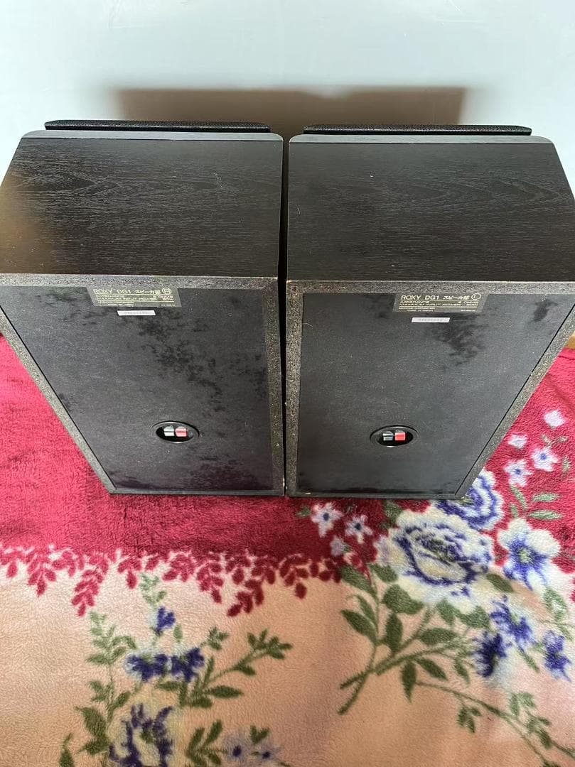 Kenwood Roxy DG1 ケンウッド スピーカー