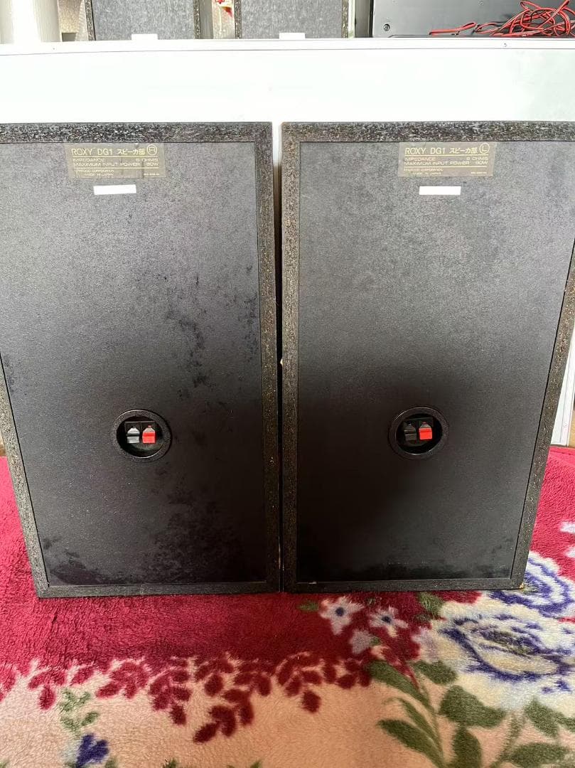 Kenwood Roxy DG1 ケンウッド スピーカー