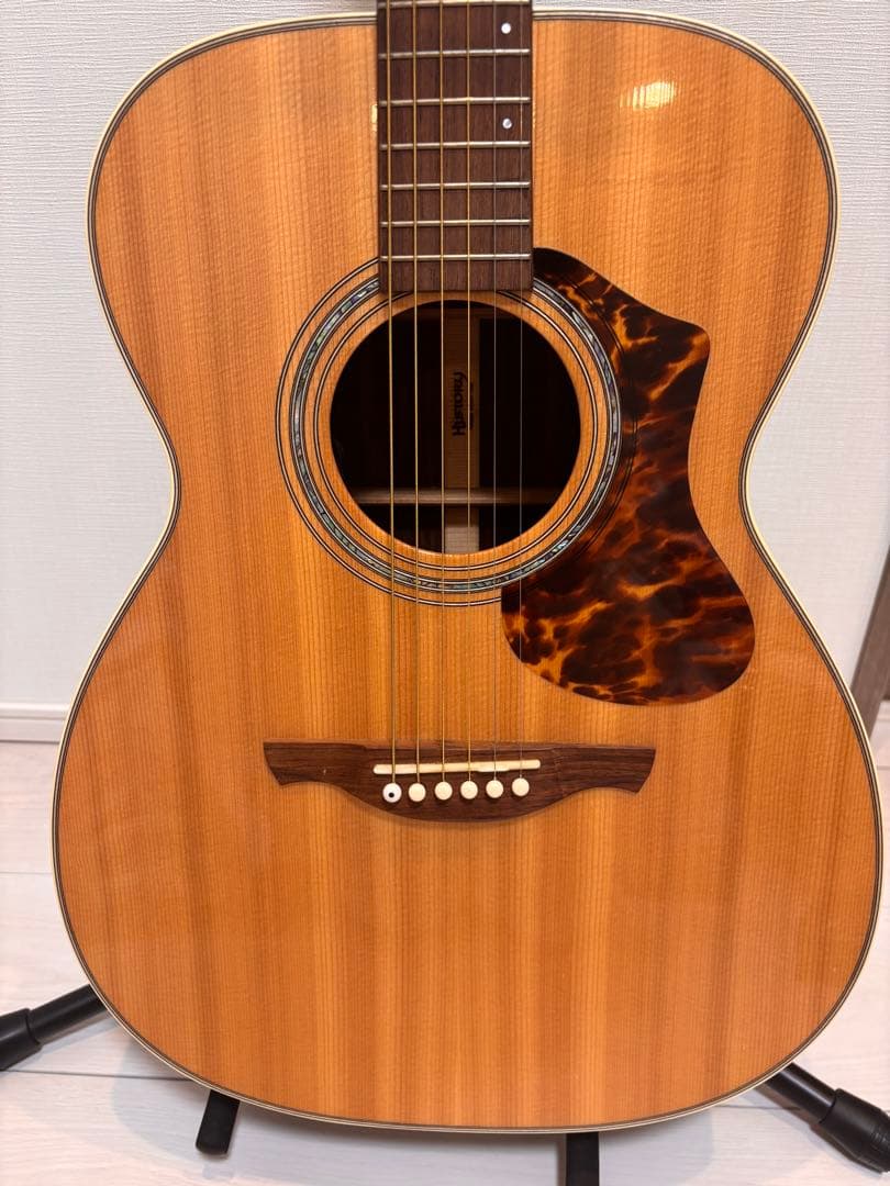 HISTORY NTS3 アコースティックギター ハードケース付き