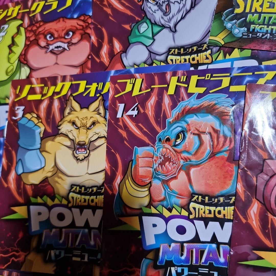 &co　シークレットあり　ストレッチーズ