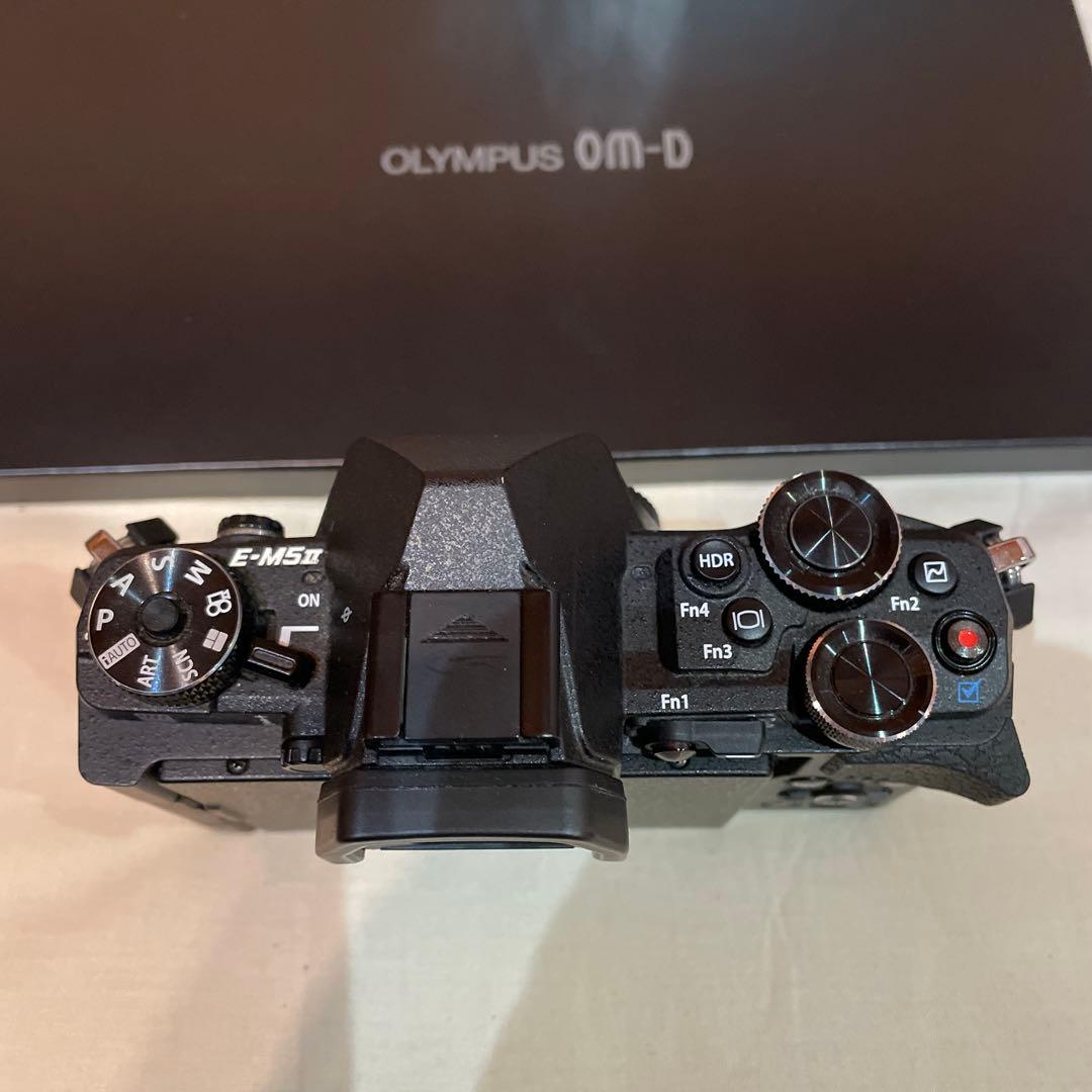 OLYMPUS E-M5 Mark II ミラーレス一眼　極美品
