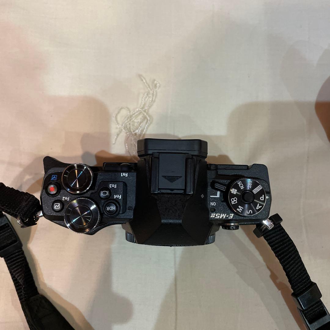 OLYMPUS E-M5 Mark II ミラーレス一眼　極美品