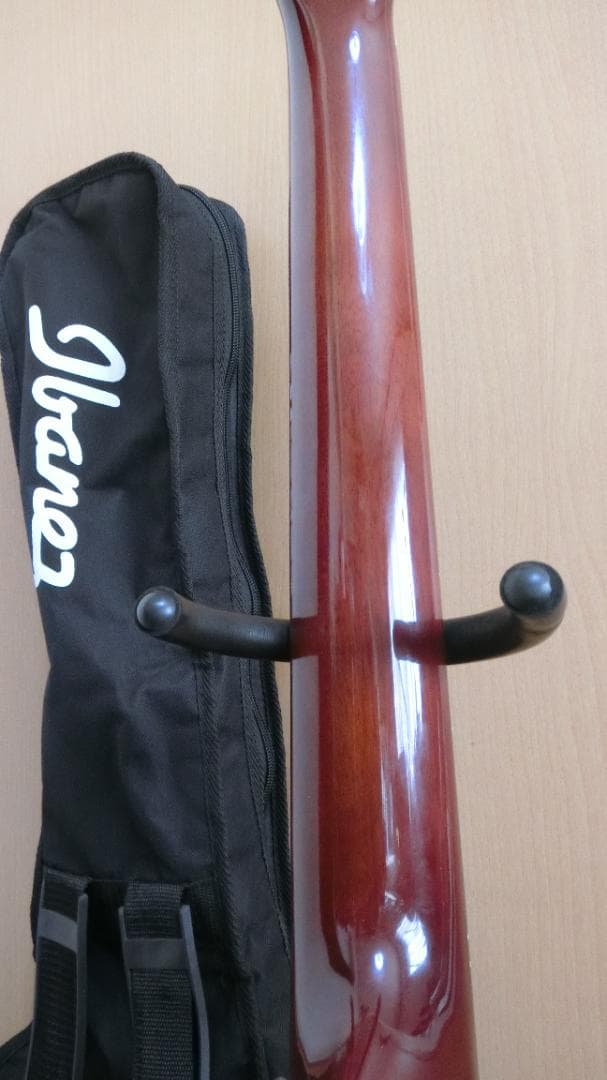 ❤️弦高調整済！Ibanez アイバニーズ AEW22CD-NT1201＋ケース