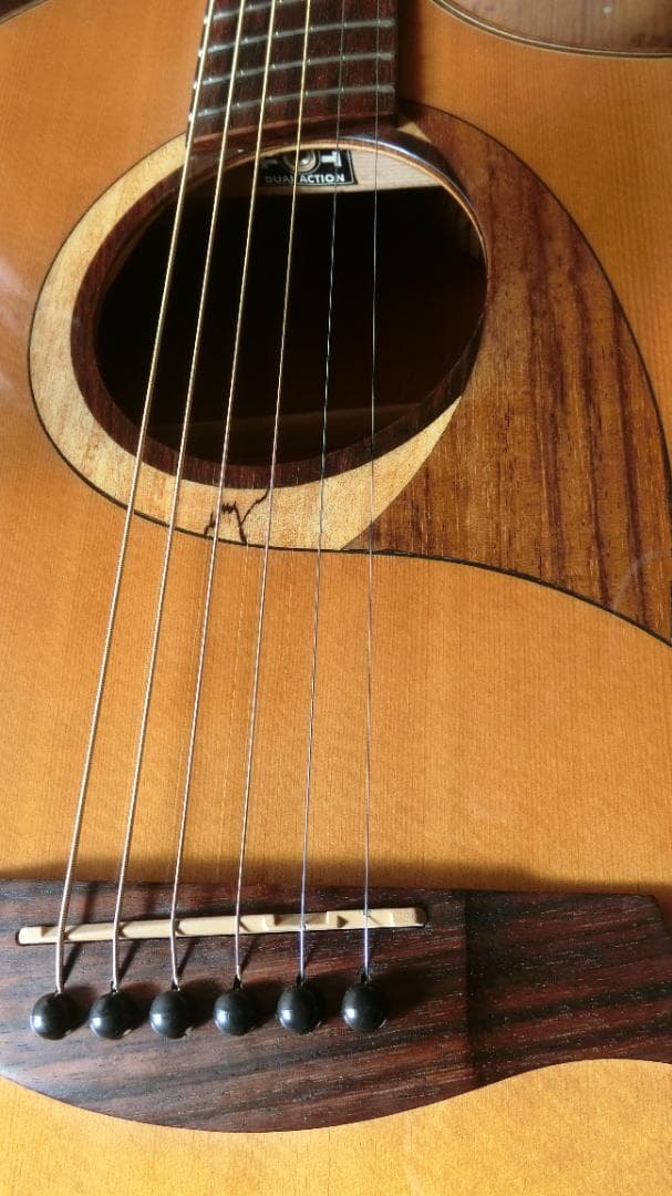 ❤️弦高調整済！Ibanez アイバニーズ AEW22CD-NT1201＋ケース