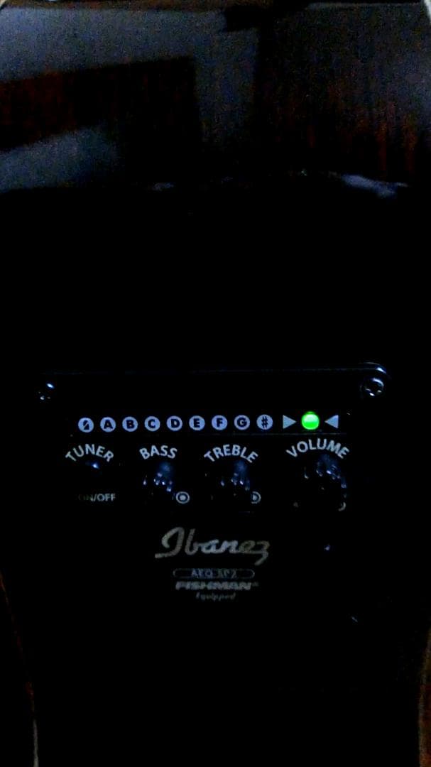 ❤️弦高調整済！Ibanez アイバニーズ AEW22CD-NT1201＋ケース