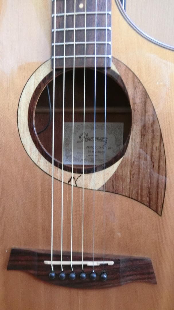 ❤️弦高調整済！Ibanez アイバニーズ AEW22CD-NT1201＋ケース