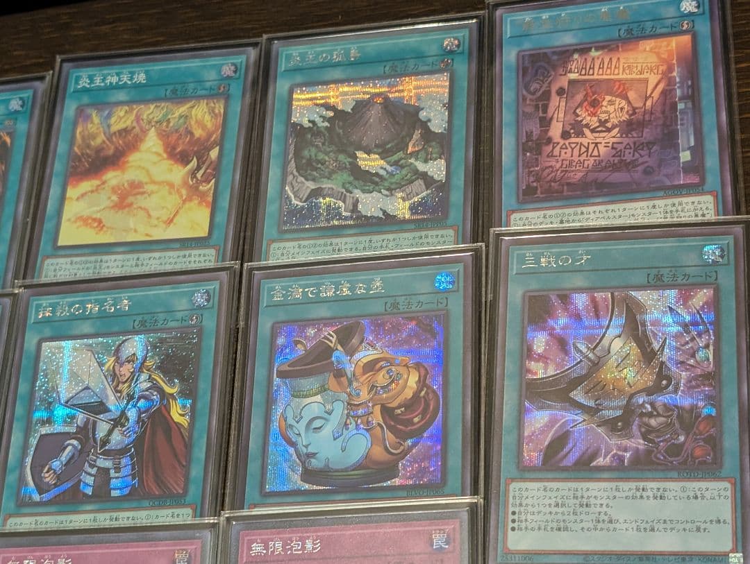 新制限対応【炎王スネークアイ本格構築済みデッキ】　メイン40枚　EX15枚　+α