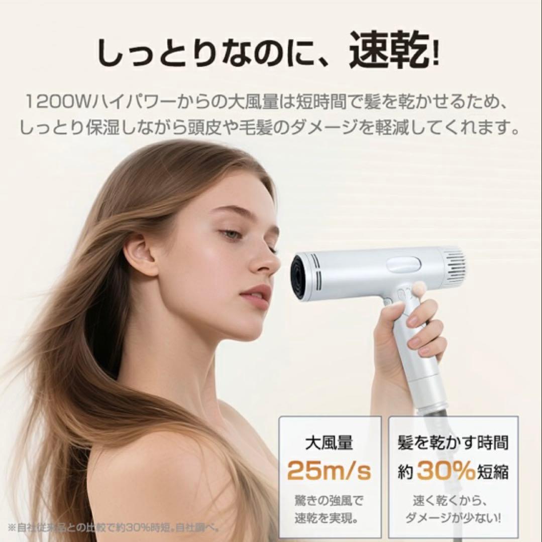 【楽天価格17890円】ヘアドライヤー 速乾 すぐ乾く　軽量　折りたたみ可能